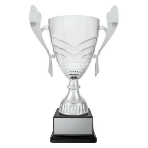 Cup trophy
