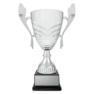 Cup trophy