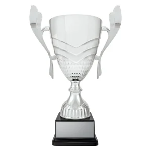 Cup trophy