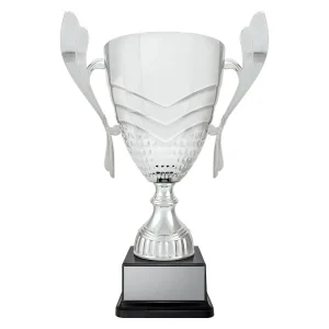 Cup trophy