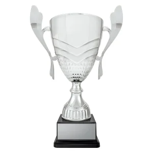 Cup trophy