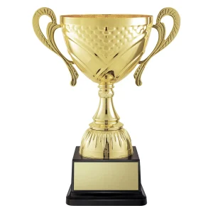 Cup trophy