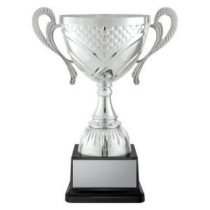 Cup trophy