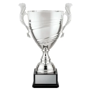 Cup trophy