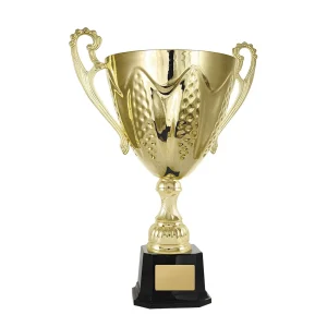 Gold cup trophy