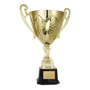 Gold cup trophy