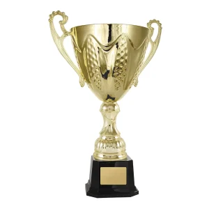 Gold cup trophy