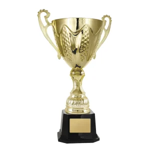 Gold cup trophy