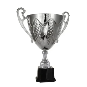 Silver cup trophy