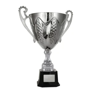 Silver cup trophy
