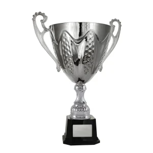 Silver cup trophy