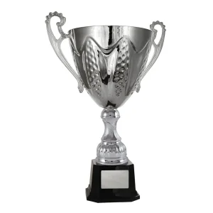 Silver cup trophy