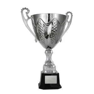 Silver cup trophy