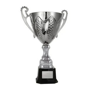Silver cup trophy
