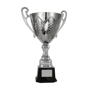 Silver cup trophy