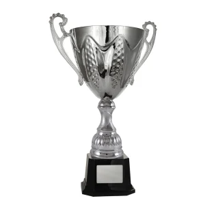 Silver cup trophy