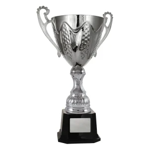 Silver cup trophy