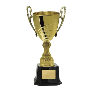 Gold cup trophy