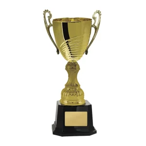 Gold cup trophy