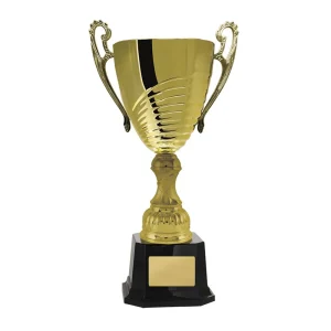 Gold cup trophy