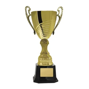 Gold cup trophy