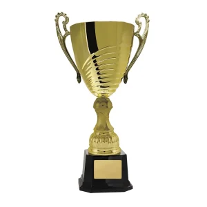 Gold cup trophy