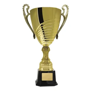 Gold cup trophy