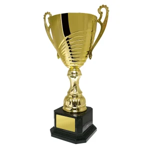 Gold cup trophy