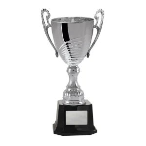 Silver cup trophy
