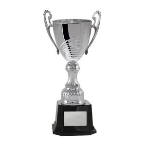Silver cup trophy