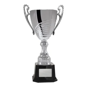 Silver cup trophy