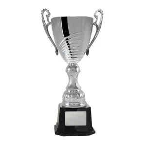 Silver cup trophy