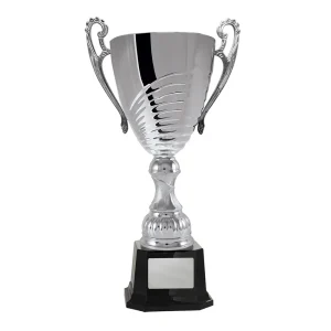 Silver cup trophy