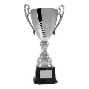 Silver cup trophy