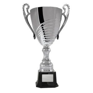 Silver cup trophy