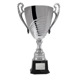 Silver cup trophy